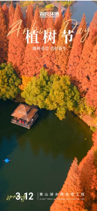 3.12植樹節｜一切都“植”得期待！